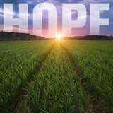 Hope nature - Art 4 Jesus